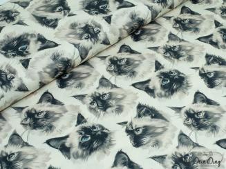Baumwollstoff Katzenköpfe 