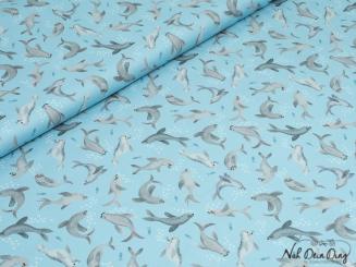 Baumwollstoff Seehunde 