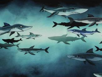 Sweat Panel Haischwarm ca. 80 cm hoch 