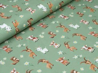 Jersey Alpentiere 
