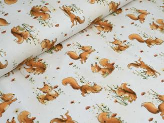 Jersey springendes Eichhörnchen 
