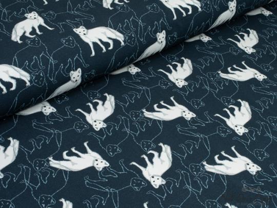 Jersey, Polarfuchs 