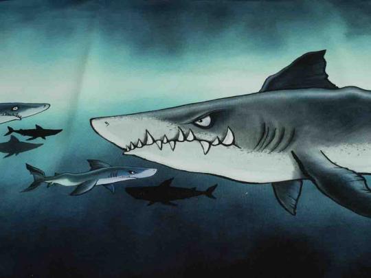 Sweat Panel Hai ca. 80 cm hoch 