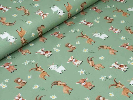 Jersey Alpentiere 